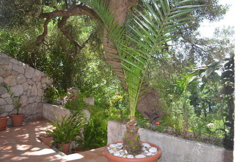 Apartments Martiva Dubrovnik Exterior photo
